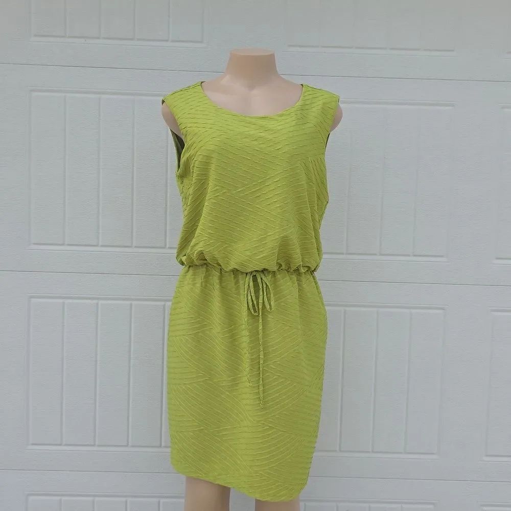 BRAND NEW EN FOCUS STUDIO SLEEVELESS MINI DRESS